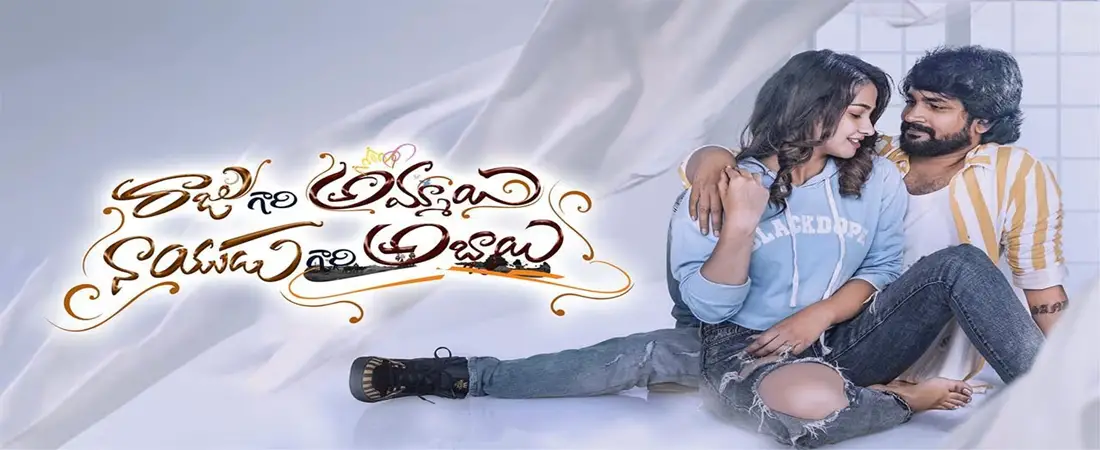 Raju Gari Ammayi Naidu Gari Abbayi